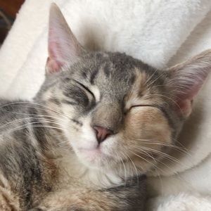 Meet your Posher, Leelah